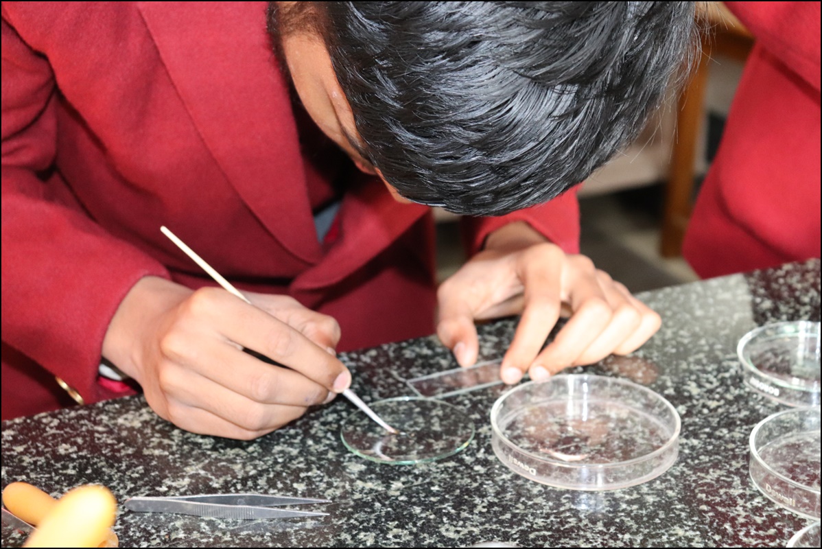 Biology Lab